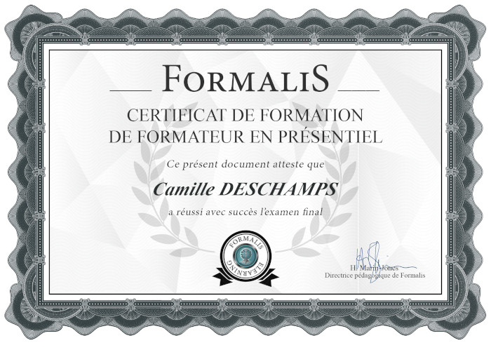 formation de formateur en ligne