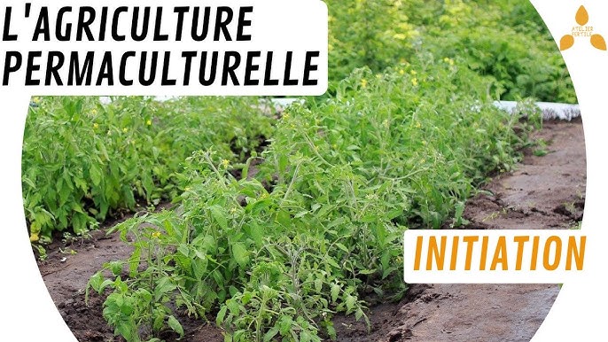 formation agriculture en ligne