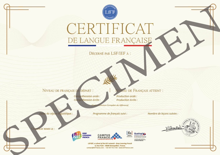 formation lsf en ligne