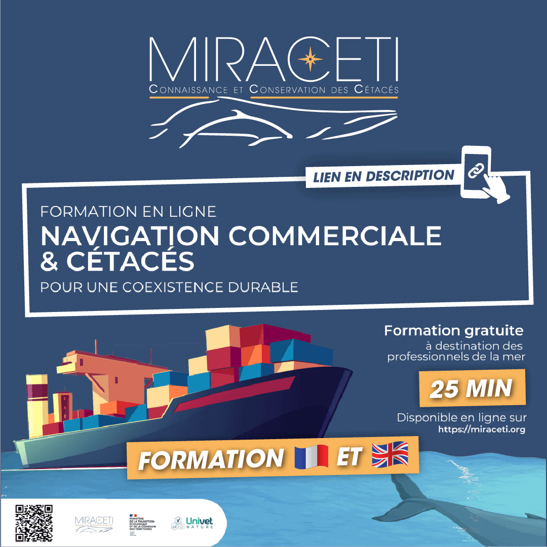 formation maritime en ligne
