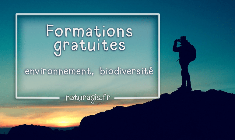 formation environnement en ligne