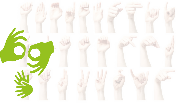 formation langue des signes en ligne