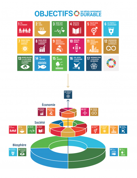 les 17 objectifs du développement durable